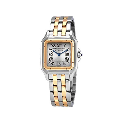 Cartier Panthere Montre Femme Cadran Argent W2PN0007 Cartier Panthere Montre Femme Cadran Argent W2PN0007
