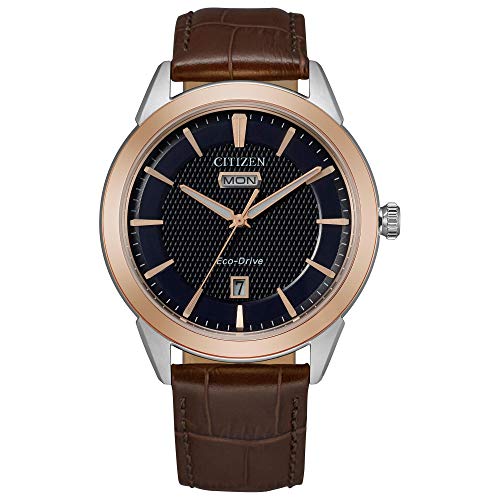 Montre Citizen Eco-Drive pour homme avec bracelet Montre Citizen Eco-Drive pour homme avec bracelet