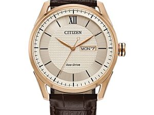 Montre Citizen Eco-Drive Classic pour homme